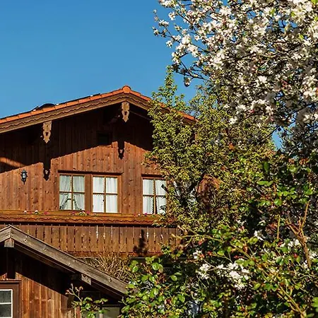 Haus Koch-lechner Apartment